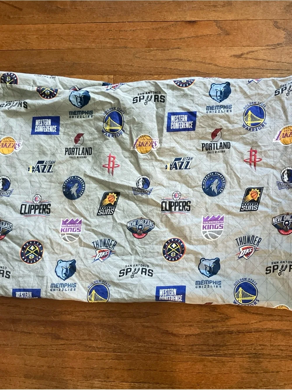 pottery barn teen pillow case NBA